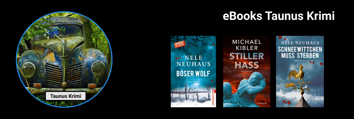 Taunus-Krimi eBooks 
