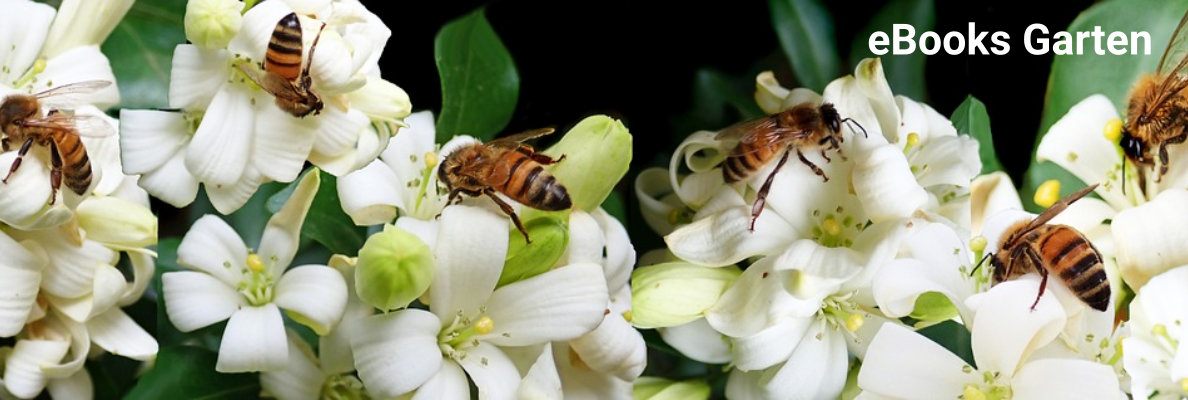 eBooks Sachbücher Garten eBooks Sachbücher Garten
