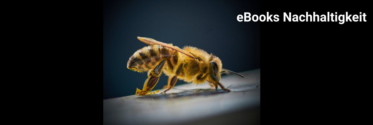 eBooks Nachhaltigkeit eBooks Nachhaltigkeit